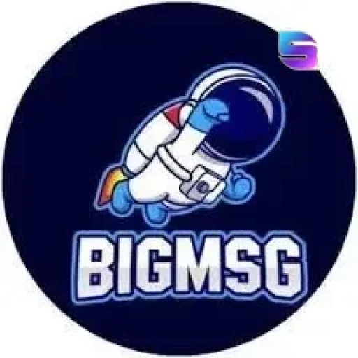 bigmsg Logo